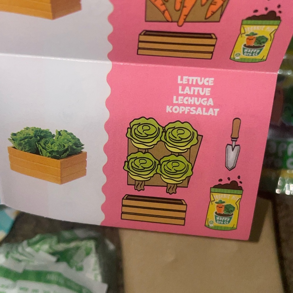 Mini Verse Lettuce